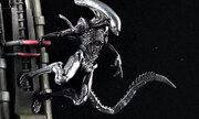 The Passenger (Alien) 70mm
