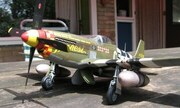 North American P-51 Mustang 1:48