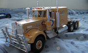 Kenworth T900 1:24
