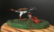 Caudipteryx zoui 1:72