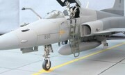 Northrop F-5S Tiger II 1:32
