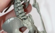 Human Skeleton 1:6