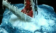 Mosasaurus No
