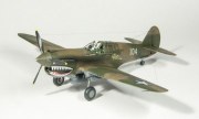 Curtiss P-40E Warhawk 1:48