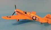 Curtiss P-40N Warhawk 1:48
