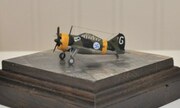 Brewster Buffalo 1:144