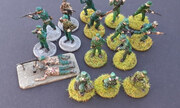 Bundesgrenzschutz (BGS) 1:72