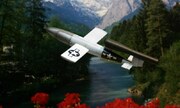 JB2 Loon 1:48