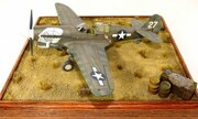Curtiss P-40N-5 1:48
