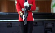 Coldstream Colour Sergeant 120mm