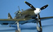 Reggiane Re.2001 1:48