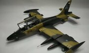 Aermacchi MB.339AM 1:48