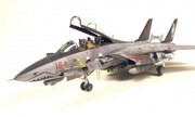 Grumman F-14D Super Tomcat 1:48