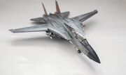 Grumman F-14D Super Tomcat 1:48