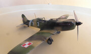 PZL P.62 1:72