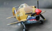 Curtiss P-40 Warhawk 1:Egg