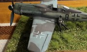 Focke-Wulf Fw 190D-9 1:48