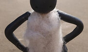 Shaun das Schaf mit Traktor 1:1