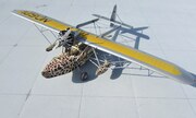 Sikorsky S-39 1:72