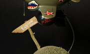 Curtiss P-40 Warhawk 1:Egg