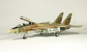 Grumman F-14A Tomcat 1:48