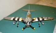 Republic P-47 Thunderbolt 1:48