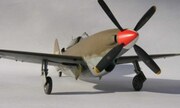 Republic XP-47H Thunderbolt 1:48