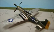North American P-51D Mustang 1:48