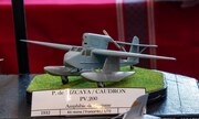 Caudron PV.200 1:72
