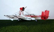Ireland P-2 Privateer 1:72
