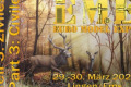 Euro Model Expo Lingen - Teil 3: Zivil 