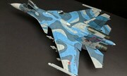 Sukhoi Su-33 Flanker-D 1:48