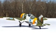 Brewster Model B-239 Buffalo 1/72