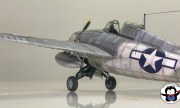 1/48 FM-1 Wildcat 1:48