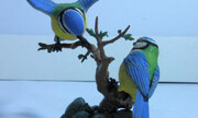 Bluetits 1:1