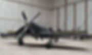Tempest Mk.V 1:48