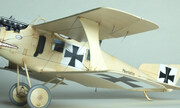 Roland C.II Wings