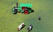 Aveling and Porter steam road roller 1:72