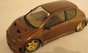 Peugeot 206 GTI 1:24