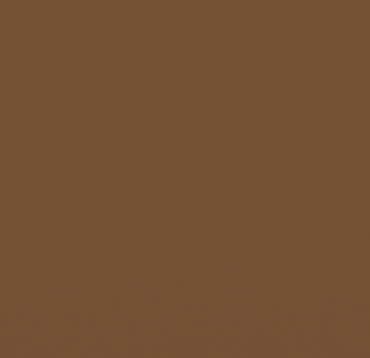 Boxart German Military Colour - Flat Armor Sand RAL 8000 OP042MIL Outlaw Paints