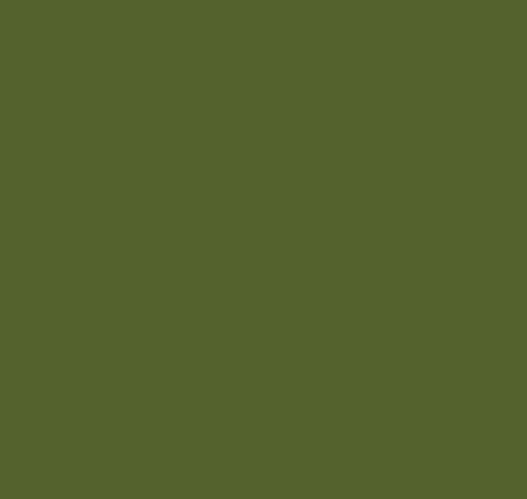 Boxart Interior Green FS34151  Model Master