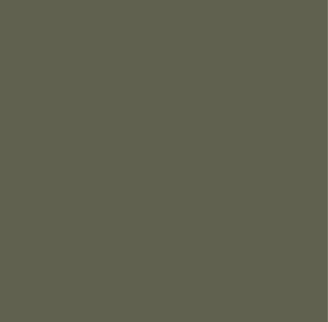 Boxart Solid Colours - AUSCAM Camouflage Green  Outlaw Paints