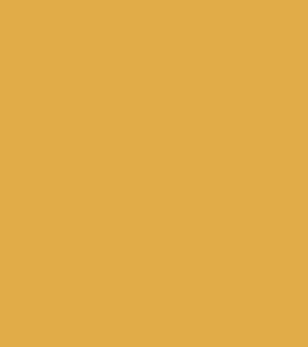 Boxart Delaware & Hudson Yellow Tru-Color Boxart Delaware & Hudson Yellow Tru-Color