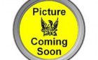 Phoenix Precision Paints Logo