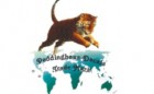 Peddinghaus-Decals Logo