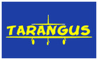 1:48 Saab JA37 Viggen (Tarangus TA4803) TA4803