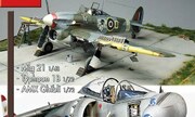 (Sky Model 133)