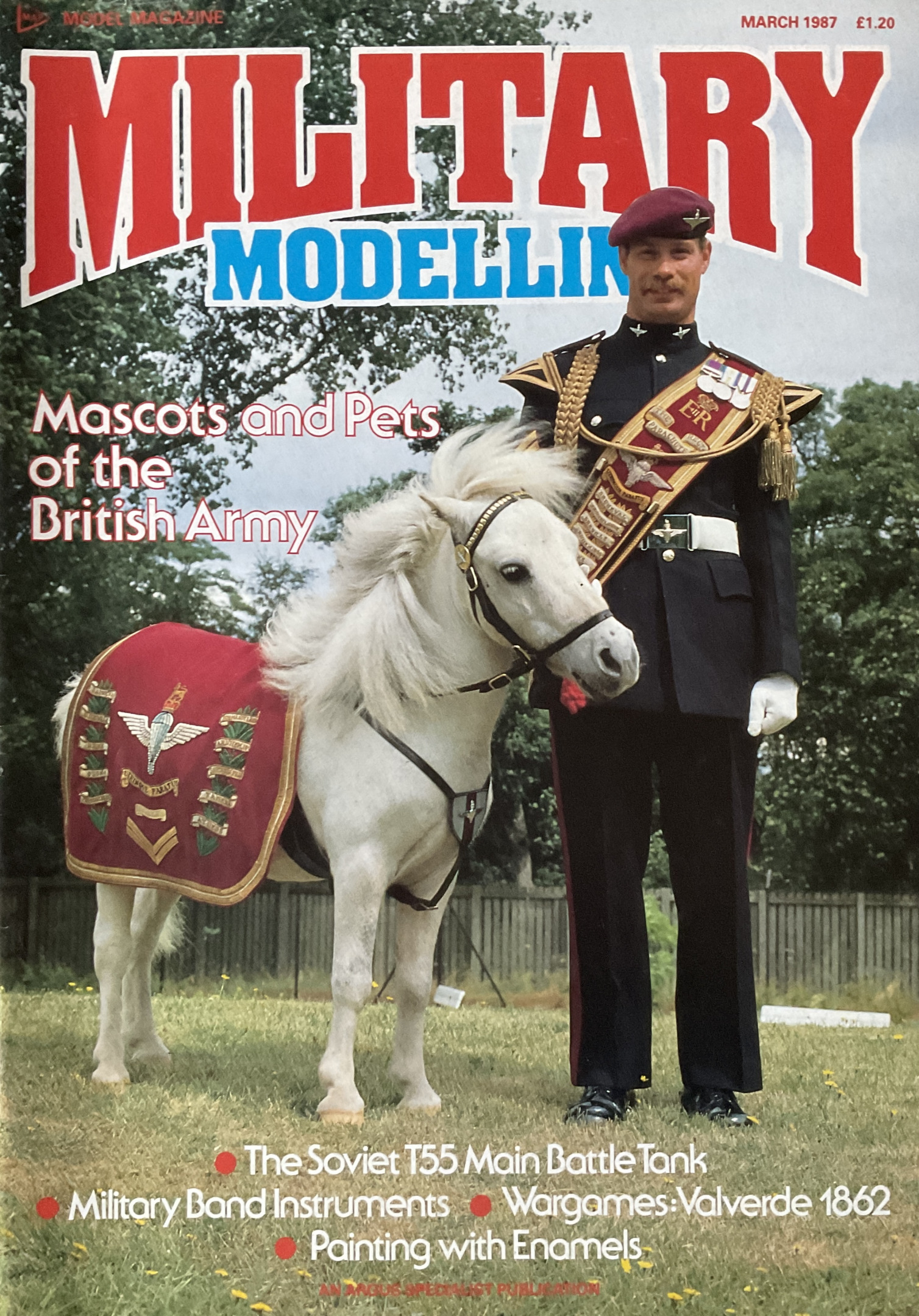 Military Modelling