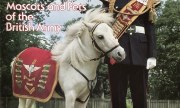 (Military Modelling Vol. 17 No. 3)