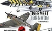 (Model Aircraft Monthly Volume 16, Issue 11)